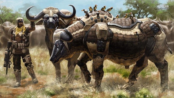 LCD党真的只是少部分人吗?